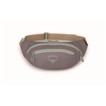 Torbice oko struka Osprey Daylite Waist Pack