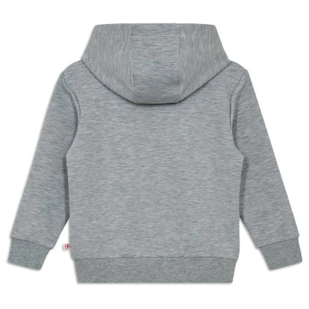 Dječja dukserica Lego Wear Lwsky 600 Grey