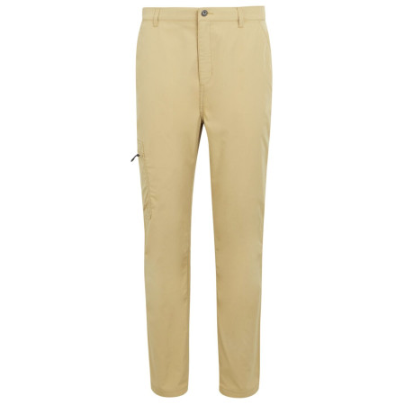 Muške hlače Regatta Dalry Trouser bež