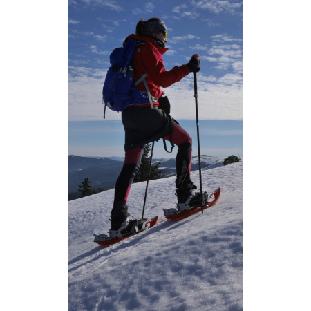 Krplje Inook Odalys lady