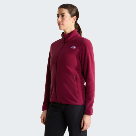 Ženska funkcionalna dukserica The North Face W Glacier Fleece Jacket