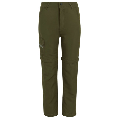 Dječje hlače Regatta Sorcer Z/O Trousers III Treetop zelena Treetop