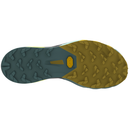 Muške tenisice za trčanje Dynafit Alpine Pro 2