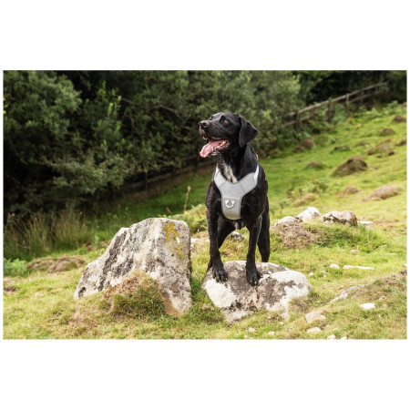 Ogrlica za psa Mountain Paws Reflective Dog Harness