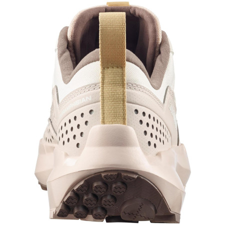 Ženske cipele Salomon Terramphibian W