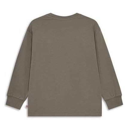 Dječja majica Lego Wear Lwtaj 608 Brown