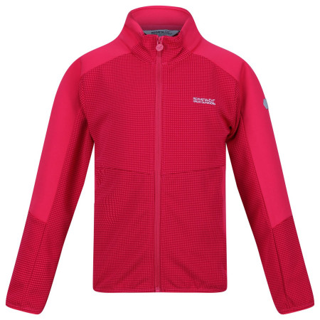 Dječja dukserica Regatta Jnr Highton FZ II ružičasta