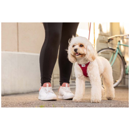 Ogrlica za psa Curli Vest Clasp Air-Mesh
