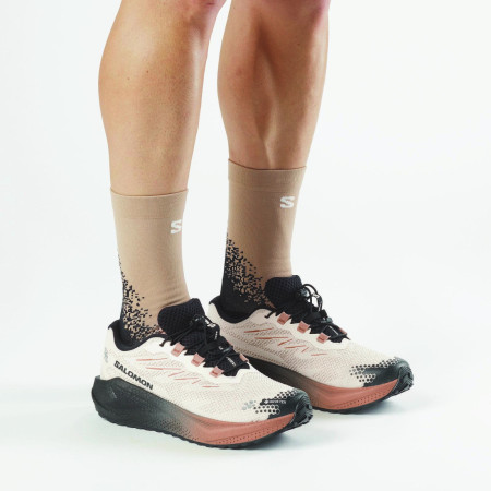 Muške cipele Salomon Aero Blaze 4 Grvl Gtx
