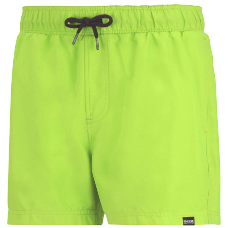 Muški kupaći Regatta Mawson Swim Shorts III