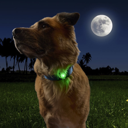 Svjetlo za psa Nite Ize NiteDog™ Rechargeable Pet Light