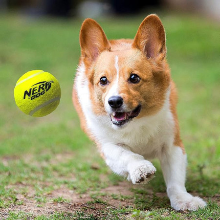 Igračka za psa Nerf Dog Blaster + Tennis Balls 3 pcs