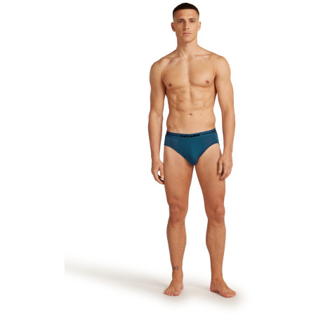 Muško donje rublje Icebreaker Mens Anatomica Briefs