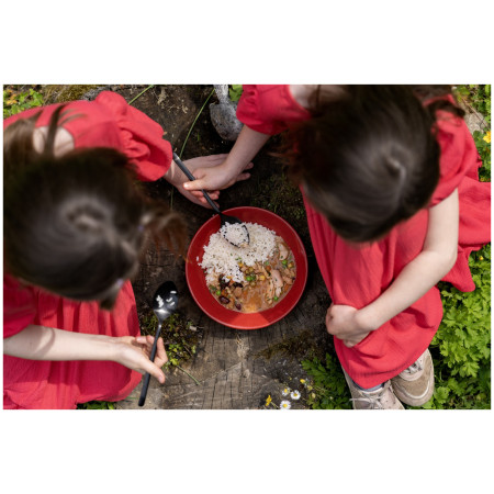 Gotova jela Expres menu Piletina u umaku 600g