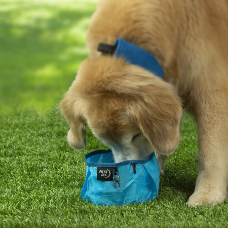 Zdjelica za psa Nite Ize Raddog Bowl