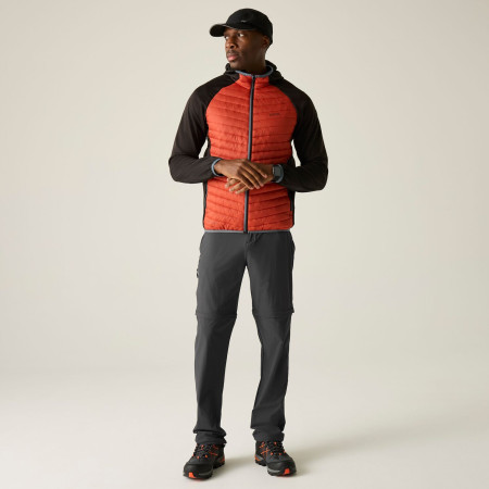 Muške hlače Regatta Anti-Insect Travel Light Z/O Trousers