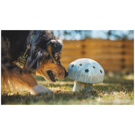 Igračka za psa Ruffwear Porchini™