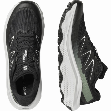 Muške cipele Salomon Ultra Flow 2