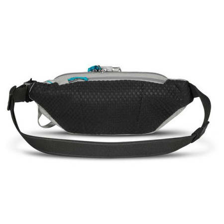 Torbice oko struka Pacsafe ECO waist pack