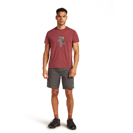 Muške funkcionalne majice Icebreaker M Mer Core SS Tee Tech Head