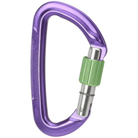 Karabiner Wild Country Session Screw Gate Ljubičasta purple/green