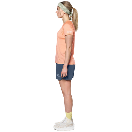 Ženska majica Devold Endurance Merino 130 Tee Wmn