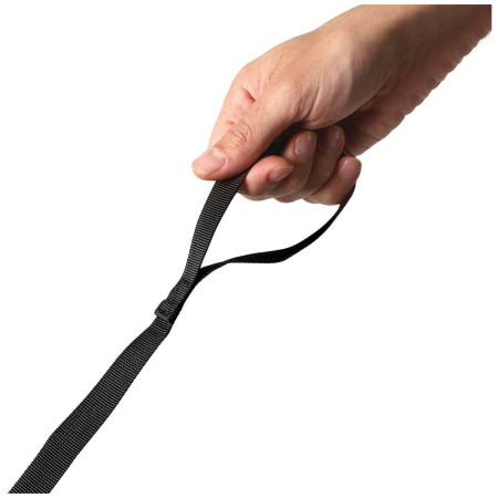 Dječji ruksak LittleLife Toddler Backpack, FF, Dinosaur