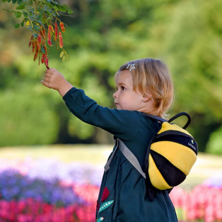 Dječji ruksak LittleLife Toddler Bee