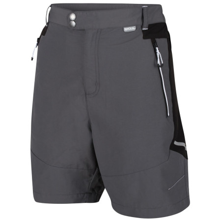 Muške kratke hlače Regatta Sungari Shorts II siva Magent/Black