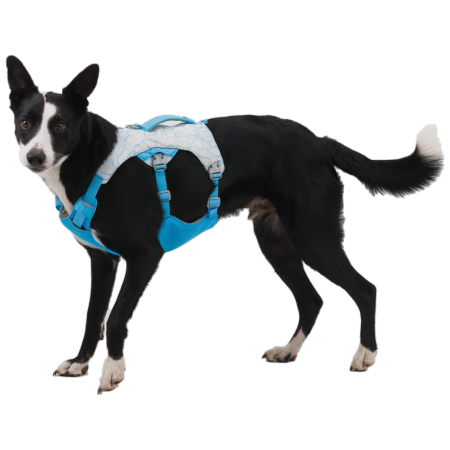 Ogrlica za psa Ruffwear Swamp Cooler Harness