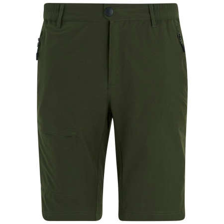 Muške kratke hlače Regatta Highton Shorts Long II