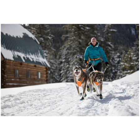 Ogrlica za psa Ruffwear Omnijore Joring System