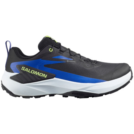 Muške cipele Salomon Genesis Gore-Tex