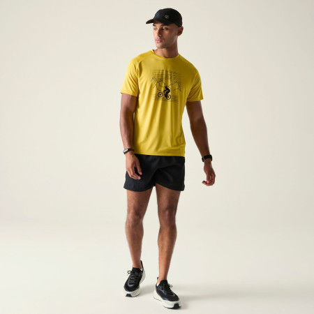 Muška majica Dare 2b Tech II Tee