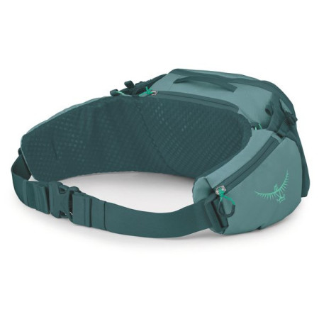 Torbice oko struka Osprey Savu 5