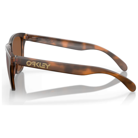Sunčane naočale OAKLEY Frogskin Prizm Tungsten