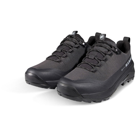 Muške trekking cipele Mammut Ducan III Low GTX Men