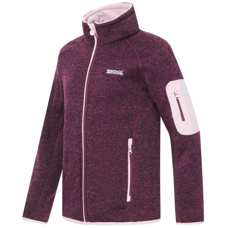 Dječja dukserica Regatta Junior Newhill Fig Powder Lilac