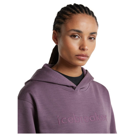 Ženska funkcionalna dukserica Icebreaker W Mer 360 RealFleece Elemental LS Hood