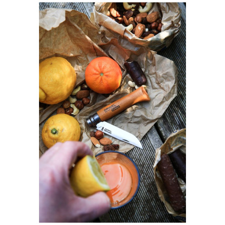 Sklopivi nož Opinel N°02 Carbon