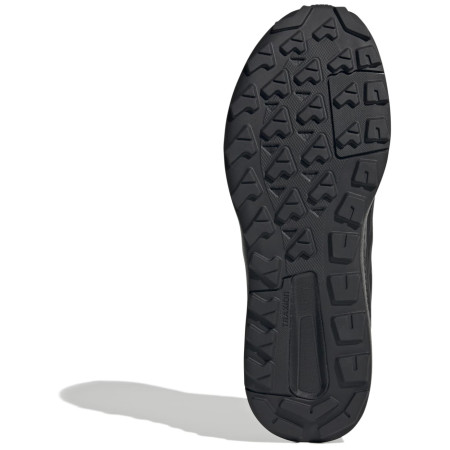 Muška obuća Adidas Terrex Anylander R.Rdy