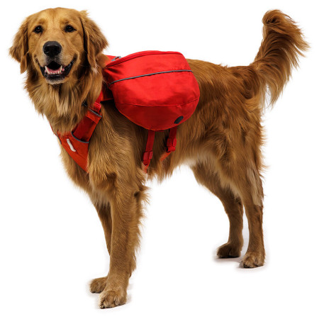 Ogrlica za psa Ruffwear Palisades™ Pack