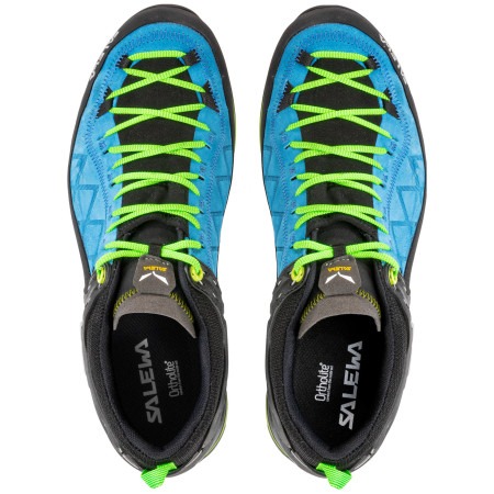 Muške cipele Salewa Ms Mtn Trainer 2 Gtx