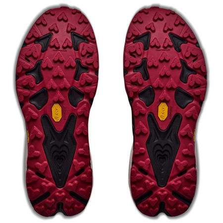 Muške tenisice za trčanje Hoka Speedgoat 7 GTX