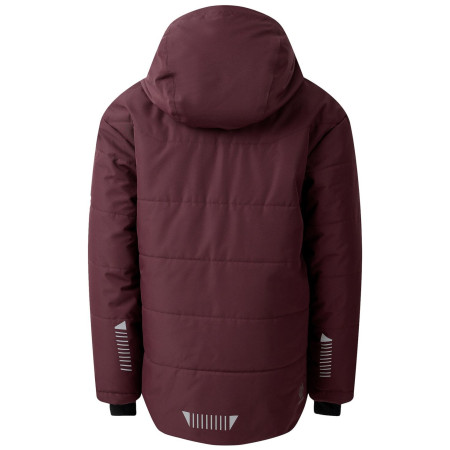 Dječja zimska jakna Dare 2b Explorer Jacket