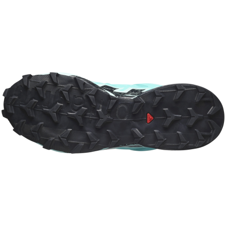 Ženske cipele Salomon Speedcross 6 Gore-Tex