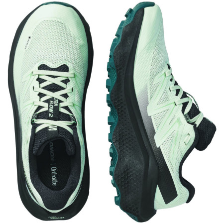 Ženske tenisice za trčanje Salomon Ultra Flow 2 Gore-Tex