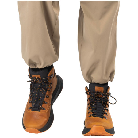 Muške cipele Helly Hansen Coastal Boot