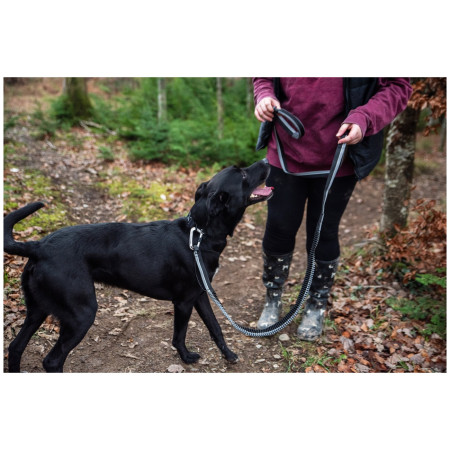 Povodac s amortizerom Mountain Paws Shock Absorber Dog Lead