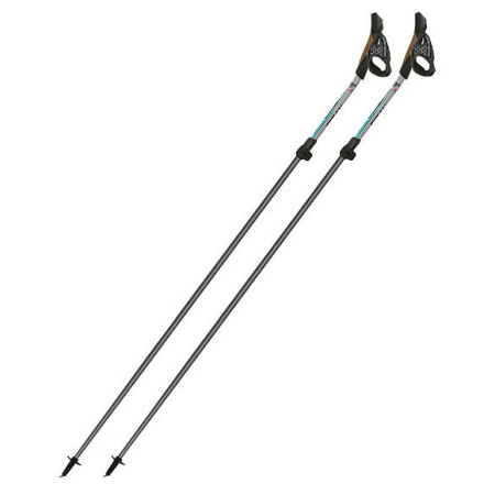 Štapovi za nordijsko hodanje Fizan NW Carbon Pro Impulse